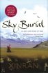 Review - Sky Burial 