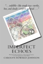 Imperfect Echoes